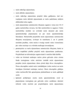 Referāts 'Mežs un tā loma mūsu dzīvē', 14.