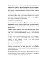 Eseja 'Krāsas, vārdi un skaņas: mākslas loma cilvēka un sabiedrības dzīvē', 2.