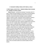 Referāts 'Sabalansētu rādītāju sistēma', 5.