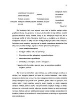 Referāts 'Sabalansētu rādītāju sistēma', 15.