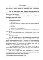 Referāts 'Darba līgums', 13.