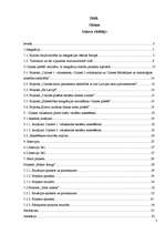 Referāts 'Olaines vidusskolu sadarbības projekti, kuri ir saistīti ar sabiedrības integrāc', 2.