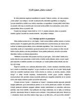 Referāts 'Olaines vidusskolu sadarbības projekti, kuri ir saistīti ar sabiedrības integrāc', 33.