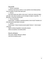 Referāts 'Olaines vidusskolu sadarbības projekti, kuri ir saistīti ar sabiedrības integrāc', 47.