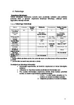 Referāts 'Banku informācijas analīze', 7.