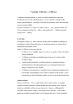 Referāts 'Vispārējās un speciālās civiltiesības', 3.