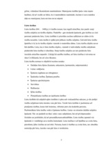 Referāts 'Vispārējās un speciālās civiltiesības', 5.