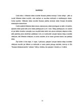 Referāts 'Mēmeles ūdens kvalitāte Bauskas pilsētas teritorijā', 25.