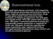 Prezentācija 'Argentīna', 7.