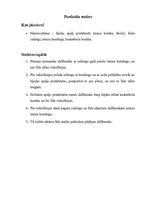 Konspekts 'Sporta diena Aizputes vidusskolas 10. - 12.klasēm', 8.