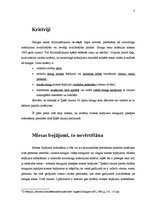 Referāts 'Smagas sekas krimināltiesībās un to kritēriji', 3.