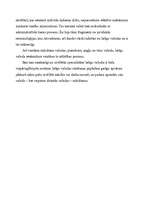 Eseja 'Latīņu valodas nozīme mūsdienās', 4.