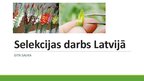 Prezentācija 'Selekcijas darbs Latvijā', 1.