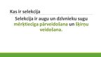 Prezentācija 'Selekcijas darbs Latvijā', 2.