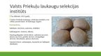 Prezentācija 'Selekcijas darbs Latvijā', 4.