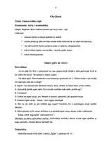 Konspekts 'Prakse pirmsskolā - Ziemassvētki', 4.