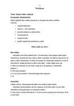 Konspekts 'Prakse pirmsskolā - Ziemassvētki', 6.