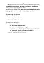 Konspekts 'Prakse pirmsskolā - Ziemassvētki', 9.