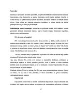 Referāts 'Dziednieciskā tūrisma iespējas Latvijā', 19.