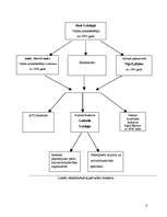 Prakses atskaite 'Prakses atskaite grāmatvedībā SIA "Ratiko"', 8.