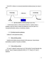 Prakses atskaite 'Prakses atskaite grāmatvedībā SIA "Ratiko"', 9.