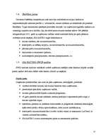 Prakses atskaite 'Prakses atskaite grāmatvedībā SIA "Ratiko"', 10.