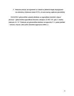 Prakses atskaite 'Prakses atskaite grāmatvedībā SIA "Ratiko"', 13.