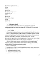 Prakses atskaite 'Prakses atskaite grāmatvedībā SIA "Ratiko"', 16.