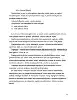 Prakses atskaite 'Prakses atskaite grāmatvedībā SIA "Ratiko"', 20.