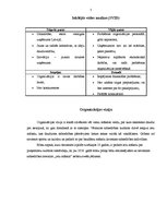 Biznesa plāns '"Ielu mākslu centra" stratēģiskais plāns', 5.