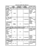 Biznesa plāns '"Ielu mākslu centra" stratēģiskais plāns', 8.