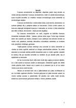 Referāts 'Dzimuma nevienlīdzība darba tirgū', 3.