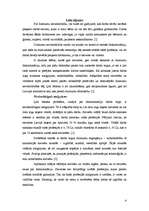 Referāts 'Dzimuma nevienlīdzība darba tirgū', 4.