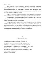 Eseja 'Kriminālo profesiju raksturojums', 15.