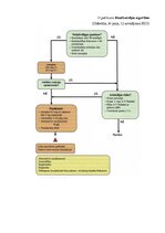 Referāts 'Neatliekamā palīdzība akūta koronāra sindroma gadījumā pirms slimnīcas etapā', 43.