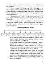 Prakses atskaite 'Valsts profesionālā prakse sociālajā darbā ar mērķa grupu', 29.