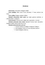 Referāts 'Vidusskolēnu fizioloģiskie rādītāji', 26.