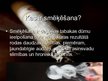 Prezentācija 'Smēķēšanas problēmas aktualitāte Rēzeknes 1.vidusskolas pusaudžu vidū', 6.