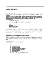 Referāts 'Uzņēmējdarbība un tās formas', 2.