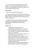 Referāts 'Atomenerģija un kodolsintēze', 9.