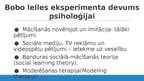 Prezentācija 'Kognitīvā psiholoģija: no biheiviorisma līdz sociālajai izziņai', 17.