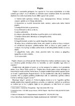 Eseja 'Plaģiāts', 2.