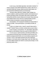 Referāts 'Reklāmas kampaņas', 5.