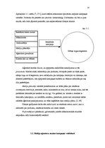 Referāts 'Reklāmas kampaņas', 14.