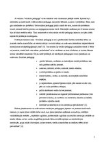 Eseja 'Sociālais pedagogs kā profesionālis', 2.