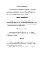 Referāts 'Arābu reliģija - islāms', 9.