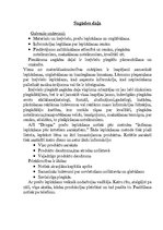 Prakses atskaite 'AS "Drogas"', 9.