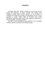 Prakses atskaite 'AS "Drogas"', 15.