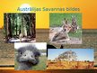Prezentācija 'Austrālijas daba', 10.