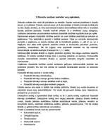 Referāts 'SIA "Elva-1" maksātspējas un bankrota rādītāju analīze', 11.